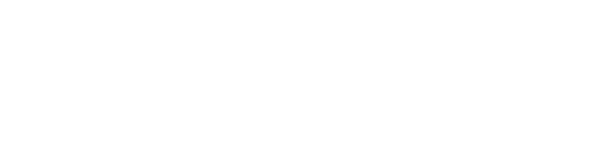 Opin Logo